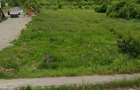 Teren intravilan Rudeni Mihăești Arges  - 3