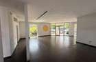 Spatiu comercial cu terasa, Constantin Brancusi - 7