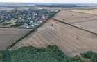 Teren investitie, intravilan Tamasi / Buftea - 3