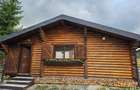 1140mp si cabana Obarsia Lotrului Transalplina 3km partia ski, TOATE UTILITATILE - 8