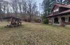 Cabana de vanzare ,Valea Avrigului/ 3000 mp/Langa padure - 4