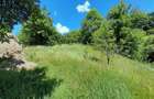 Vanzare casa cu anexe si 5500 mp teren, Valea Ariesului, Salciua - 6