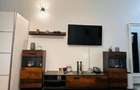 Apartament cu 1 camera - zona Tatarasi - Kaufland - 4
