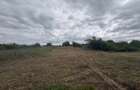 Teren Intravilat 15 ari Livada Meses ptr constructii 127.500eur - 1