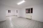 Demisol inalt 115 mp, 5 camere, 2 intrari  - Zona Parcul Carol / ideal investiti - 8