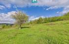 Casă cu teren de 17.681 mp, în loc. Hălmăgel, Arad - 23