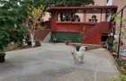 Vila Dristor- Ramnicu Sarat - 5