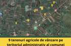 9 terenuri agricole de vânzare pe teritoriul administrativ al comunei Chichiș! - 1