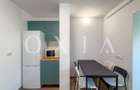 OX739 Circumvalatiunii, Renovat, Prima Inchiriere - 8