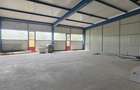 Hala, Spatiu comercial - 4