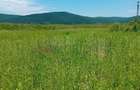 Oportunitate investiție agricolă | 750 ha societate | Județul Arad | - 1