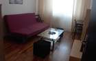 Apartament 2 Camere,Piata Victoriei,Amenajat,mobilat,utilat,complet - 5