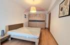Apartament cu 2 camere si terasa de închiriat în zona Buna Ziua - 9
