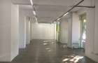 Spatiu Comercial 268mp de Inchiriat | *Serban Voda* - 1