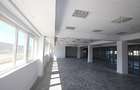 REC3000085 Birouri si hala in parc industrial - zona vest - 18