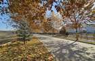 Greenfield Residence - Apartament 3 camere | 2 Bai | Loc Parcare | Pet Friendly - 21
