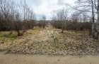 Teren extravilan 2200 mp, zona Calea Poplăcii, la 5 min de Valea Aurie - 5