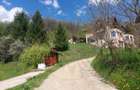 Casa 6 camere langa padure/ 340 mp/ teren de 3 745 mp la 5 min de Pitesti - 15