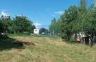 Teren 1942 mp, Baicoi, €32.500
 - 3