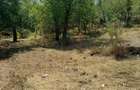 CASĂ IABLANIȚA,JUD. CARAȘ-SEVERIN - 12