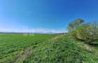 Teren de 8700 mp - extravilan - Bod, Brasov - 2