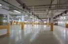 Hală de producție / depozitare – 1.300 mp utili, etaj 1, zona centrala - 3
