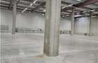 Spatiu Industrial - 4300 mp - Logistica - Productie - Depozitare - Distributie - 21