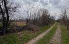 Jilava - Centura Bucuresti - teren intravilan 423 mp - 5