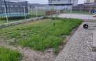 Inchiriez casa tip duplex - 4