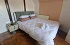 Apartament de inchiriat in vila et 2, Parc Carol, Unirii-Tineretului - 11