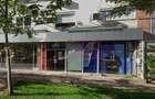 Spatiu comercial pe Calea Calarasilor - 1