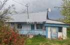 Teren intravilan in suprafata de 3160 mp, Puscasi, Poiana lui Alexa - 2