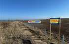 Teren intravilan 47.400 mp, Vama Veche, 200 m de Marea Neagra - 2