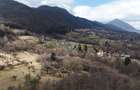 10.51 Euro + TVA / mp: Teren Bran Predelut, 24.253 mp, intravilan - 3