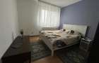 Inchiriere Apartament 2 camere Renovat Drumul Taberei-Parc Moghioros - 10