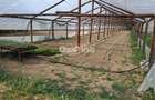 Loturi teren intravilan în Dăești, cu utilități complete, solar și garaj - 7