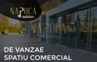 Spatiu comercial de vanzare in Iris, Cluj Napoca - 1