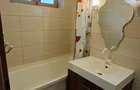 Apartament 2 camere-53 mp-etaj 1-Podu Ros-Palas Mall - 10