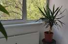 Apartament modern 3 camere Titan – 2 bai, bloc reabilitat - 2