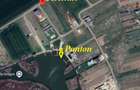 TEREN 762mp zona privata exclusivista Izvorani Delta Snagov la 100m lac - 16
