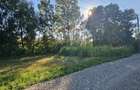 Teren intravilan, 7500 mp in Moara Carp / Strada Eternitatii-Suceava - 14