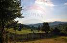 Vanzare 3 case de vacanta si 15750 mp teren, Botiza, Maramures - 5