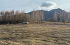 Teren intravilan 500 mp sau 1000 mp în Zarnesti –Tohanita cu parau(izvor) - 1