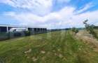 Teren pentru casă de vacanță cu plaja, 1150 mp, zona Apa - 2