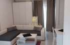 apartament  de inchiriat cu 2 camere  in zona Herastrau - 2