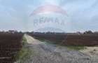 Teren Snagov /Soseaua Vladiceasca 553 sau 1109 mp Liziera Padurii - 2
