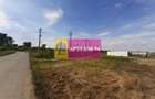 Teren construcție casă - 1 Decembrie - Zona Metropolitană București - 6