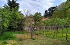 Casa de vanzare in Cuvin com. Ghioroc jud Arad - 5