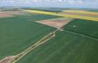 🌿Retras-Teren intravilan 4750 mp cu PUZ aprobat | 15 km A0 | POT 60% | CUT 1.8 - 2