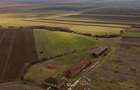 Fermă cu teren intravilan de 35000 mp în Mișca - 17